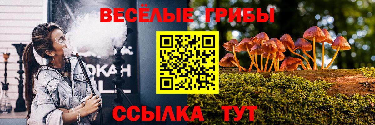 Галлюциногенные грибы GOLDEN TEACHER Костомукша