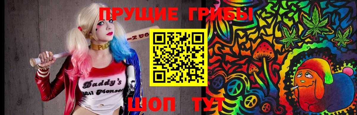 Псилоцибиновые грибы Cubensis  где купить   Костомукша  Вход с VPN 